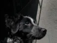 Fumaça 