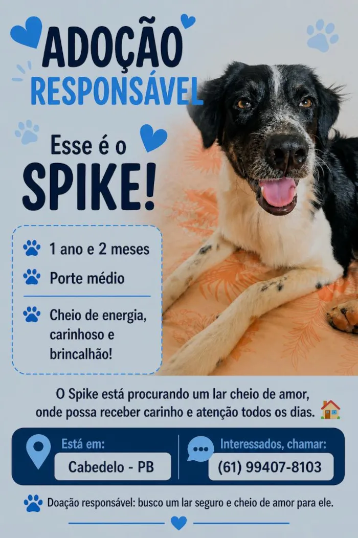 Cachorro raça SRD-ViraLata idade 1 ano nome Spike,  Luna e Pandora