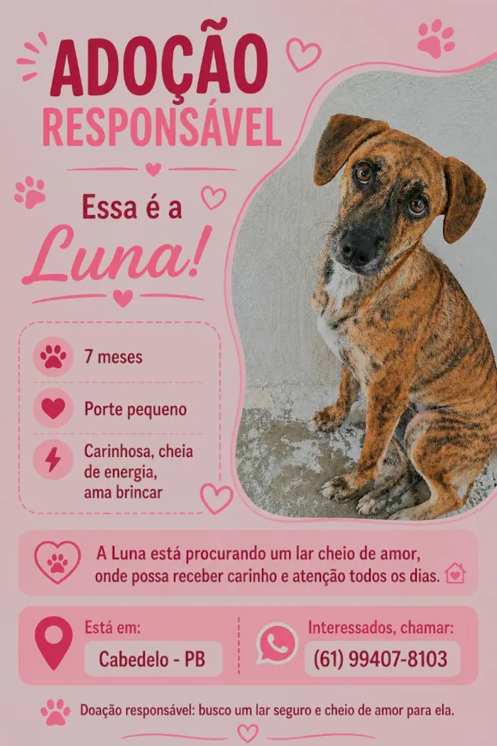 Cachorro raça SRD-ViraLata idade 1 ano nome Spike,  Luna e Pandora