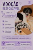 Spike,  Luna e Pandora