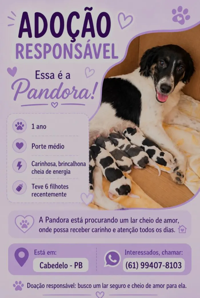 Cachorro raça SRD-ViraLata idade 1 ano nome Spike,  Luna e Pandora