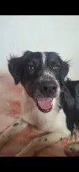 Spike,  Luna e Pandora