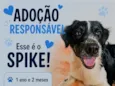 Spike,  Luna e Pandora