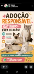 Não tem nomes