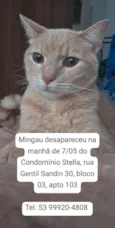 Mingau