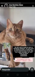 NILO