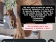 NILO