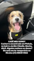 não sabemos 
