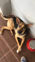 BIDU