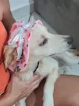 nina