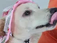 nina