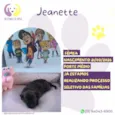 Jeanette