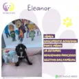 Eleanor