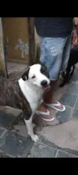 princesa 