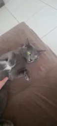 Kiara