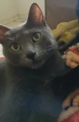 Kiara