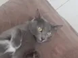 Kiara