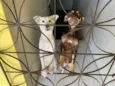 princesa  e branquinha 