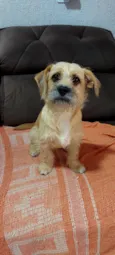 Bella