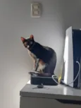 Lua