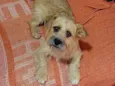 Bella