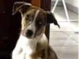 Zoye