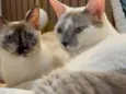 Filha e Xeri