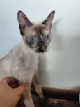 Margot 