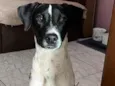 Tobby 