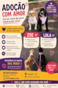 Lola e Zoe