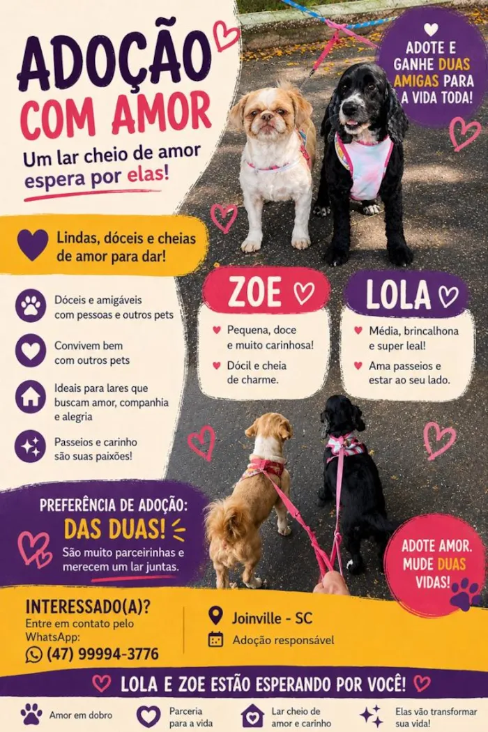 Cachorro raça Shitzu ; Cocker idade 4 anos nome Lola e Zoe