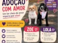 Lola e Zoe