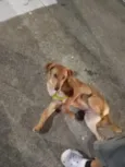 lucky