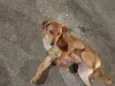 lucky