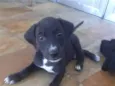 Tito