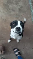 Sarabi