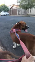 Max e Zoe