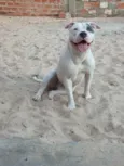 lupita