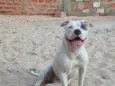 lupita