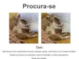 Tom