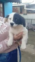 Billy