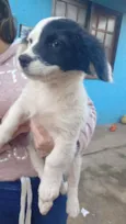 Billy