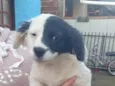 Billy