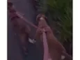 Max e Zoe