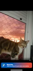 Ajax