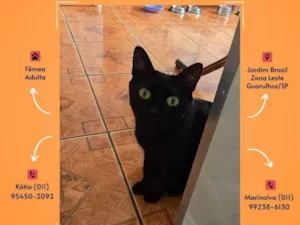 Gato raça SRD-ViraLata idade Abaixo de 2 meses nome Sem nome