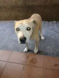 cabuloso