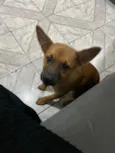Kiara