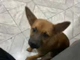 Kiara