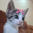 Kika 